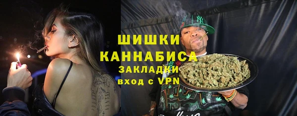 ALPHA PVP Богородицк
