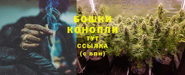 ALPHA PVP Богородицк