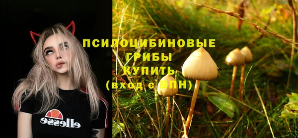 альфа пвп Богданович