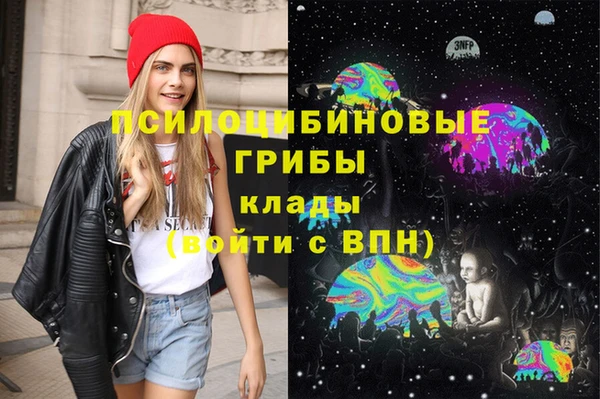 ALPHA PVP Богородицк