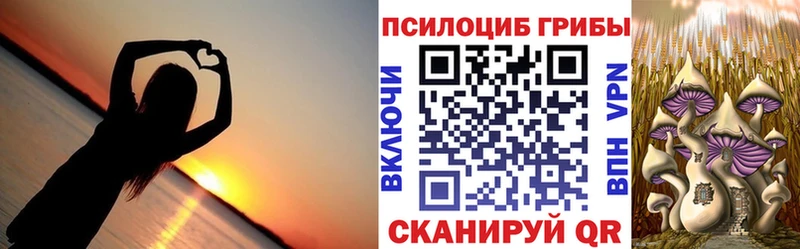 Псилоцибиновые грибы GOLDEN TEACHER  Хабаровск 